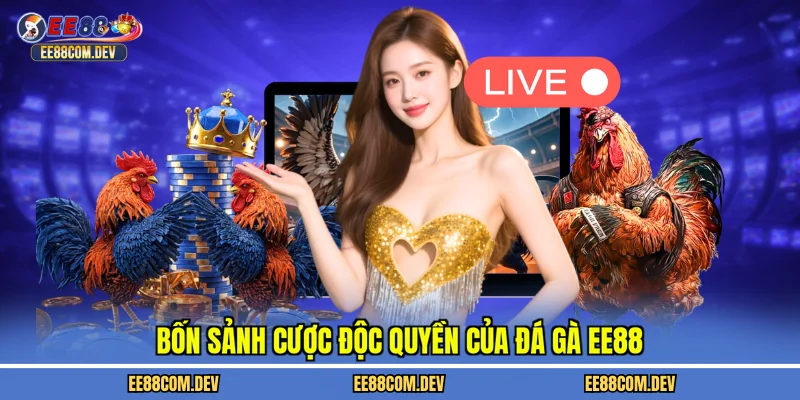 Bốn sảnh cược độc quyền của đá gà EE88