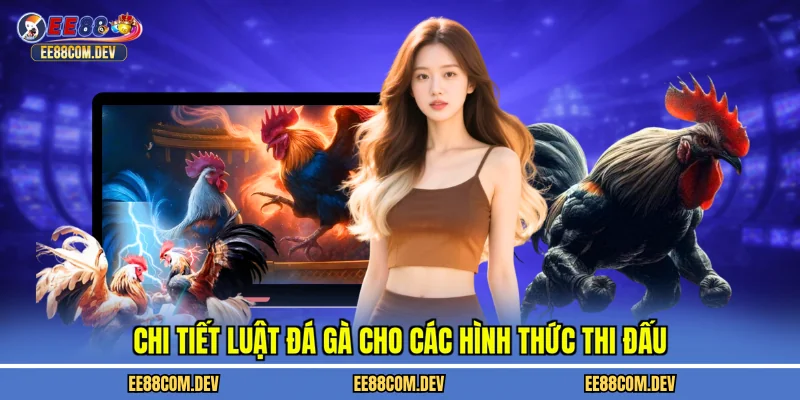 Chi tiết luật đá gà cho các hình thức thi đấu