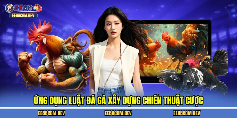 Ứng dụng luật đá gà xây dựng chiến thuật cược